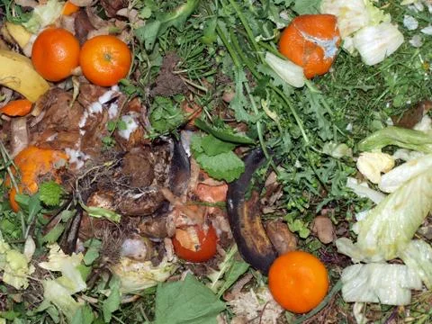 Kitchen waste on a compost heap. Stock Photos