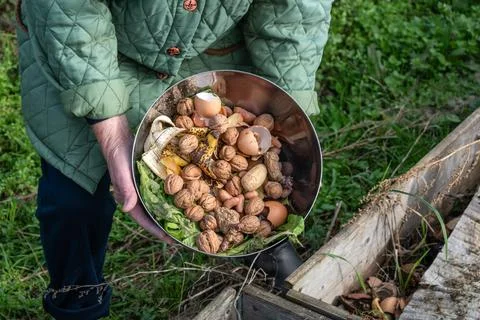 Kitchen waste deposit for compost in the garden Фото