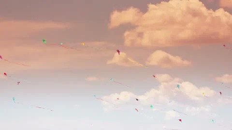 Kite 02b Stock Footage 10893365