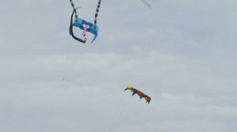 Kite 102 hdp Video stock 531033