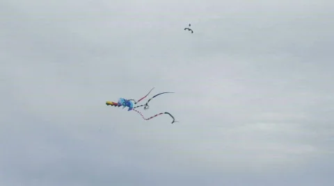Kite 107 hdp Video stock 531122