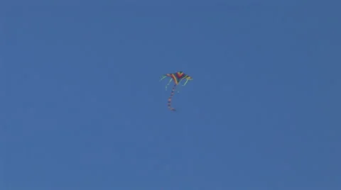 Kite 11 Stock Footage 5548524