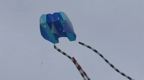 Kite 111 hdp Video stock 532375