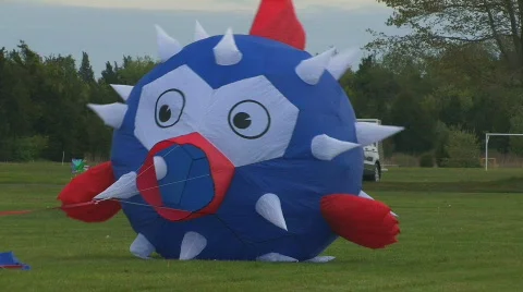 Kite 112 hdp Stock Footage 532438