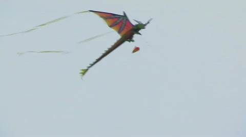 Kite 113 hdp Video stock 532515