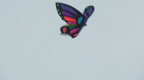 Kite 114 hdp Stock Footage 532583