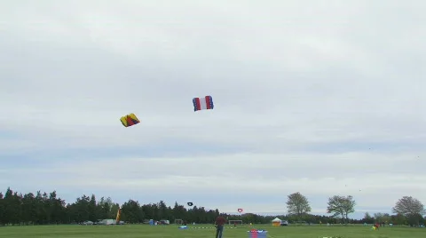 Kite 115 hdp Video stock 532632