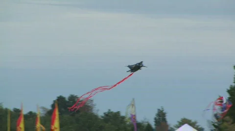 Kite 118 hdp Video stock 532688