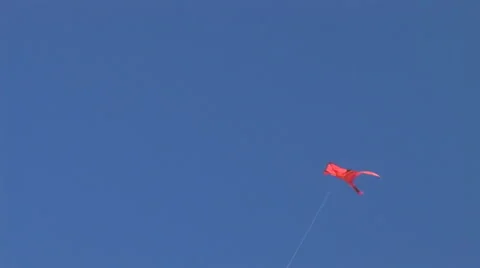 Kite 18 Stock Footage 5548864