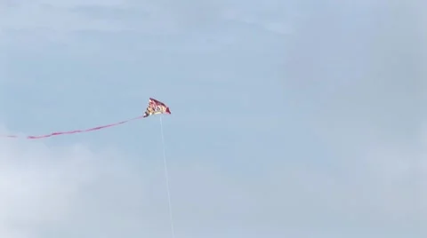 Kite 2 Stock-Footage 7754321