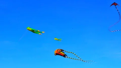 Kite 2 Stock Footage 107129590