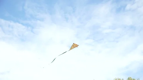 Kite in the air 動画素材 55300953