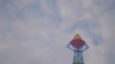 Kite in the air Stock Footage 130100831