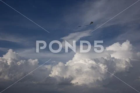 Kite and Cumulus clouds and sun in the sky Stock Photos