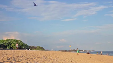 Kite on the beach 動画素材 40488795