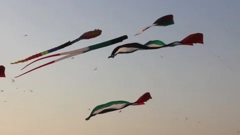 Kite Beach Stock Footage 101726941