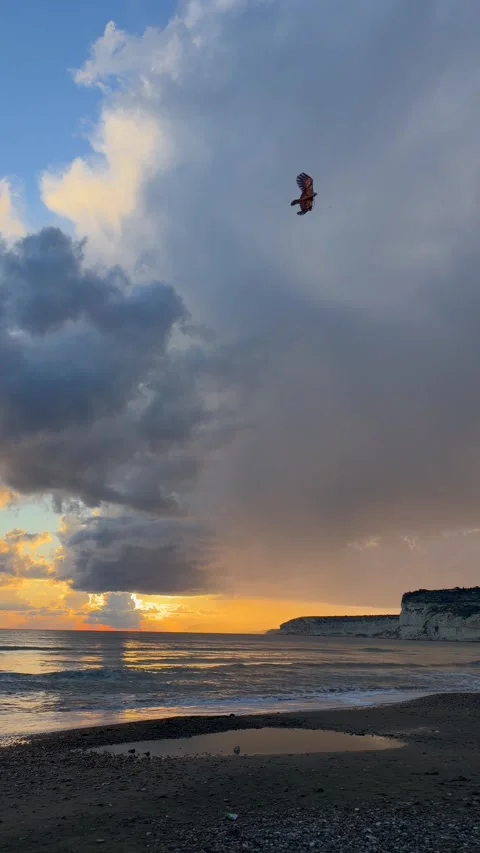 Kite in bird form flies above calm ocean at sunset with warm golden horizon Video stock 334681239