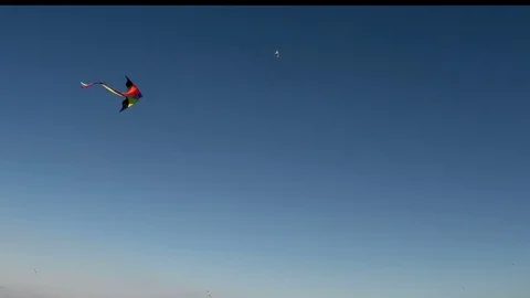 A kite with birds hover in the blue sky Stock-Footage 79341651