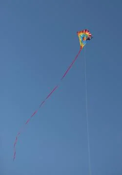 Kite on blue sky Stock Photos