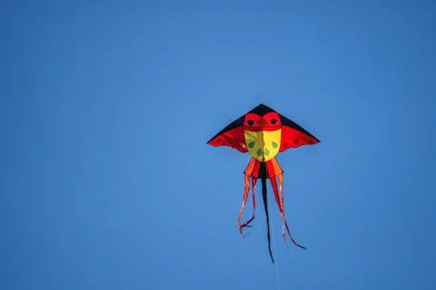 Kite on the blue sky. Stock Photos