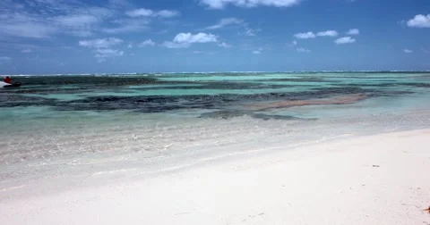 Kite boarding, jump over the camera. Video stock 51877529