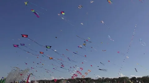 Kite in Cervia, Italy Stock Footage 78099953