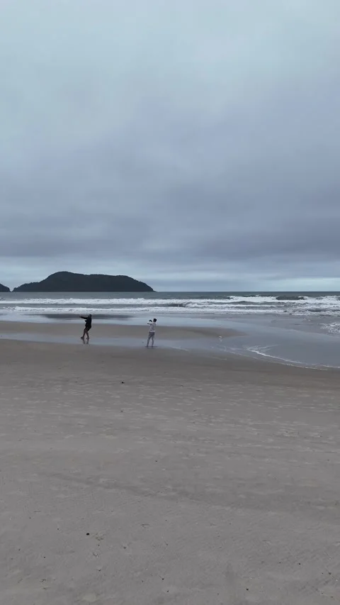 Kite on Cloudy Seaside – Windy Ocean Shore Stock Footage 316170778