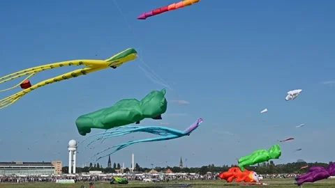 Kite competition Video stock 252361461