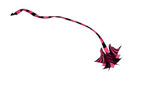 Kite, cut-out Stock Photos