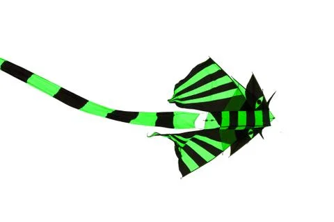 Kite, cut-out Stock Photos