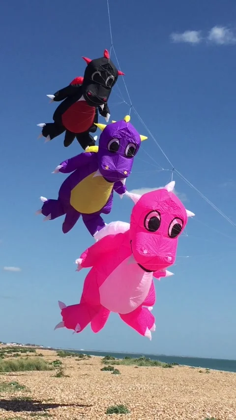 Kite Dragons on beach Stock Footage 167971002