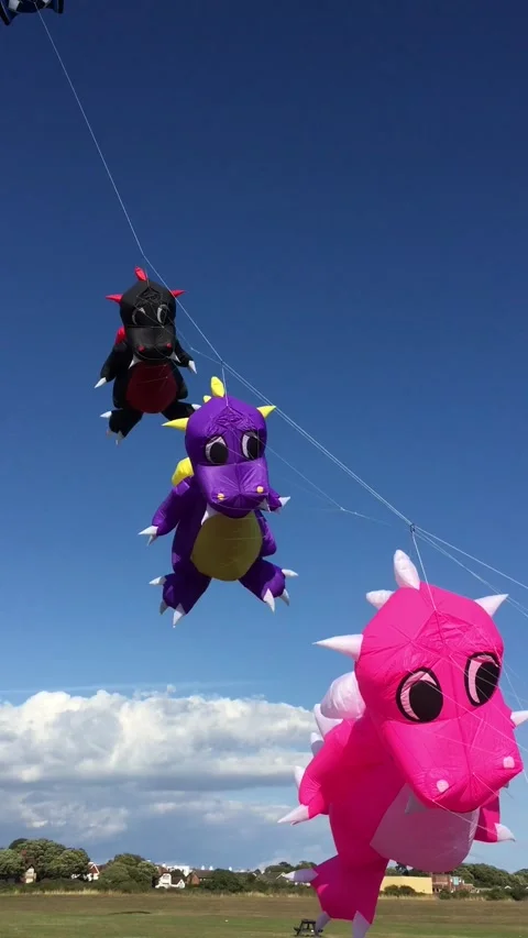 Kite Dragons with Lifter kite Stock Footage 167971110
