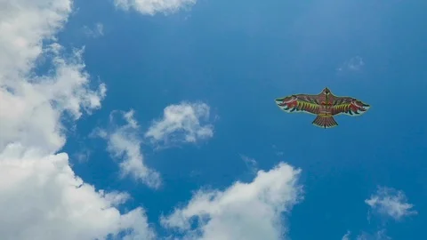 A kite like an eagle flies into the sky Stock Footage 113291318