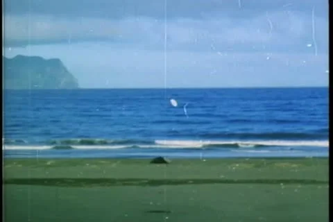 Kite falling on beach 스톡 동영상 11355118