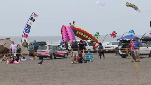 Kite Festival. Two kites dancing together. Stock Footage