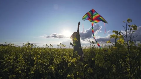Kite in a field Stock Footage 134251599