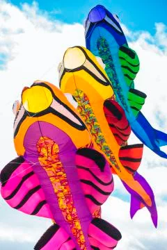 Kite fish fly in the sky Stock Photos
