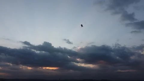 The kite flew high when the sky was cloudy Stock Photos