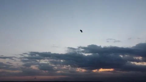 The kite flew high when the sky was cloudy Stock Photos