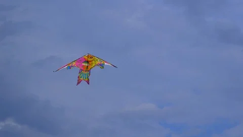 Kite flies across the sky Stock Footage 112717228