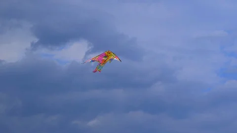 Kite flies across the sky Stock Footage 112717269