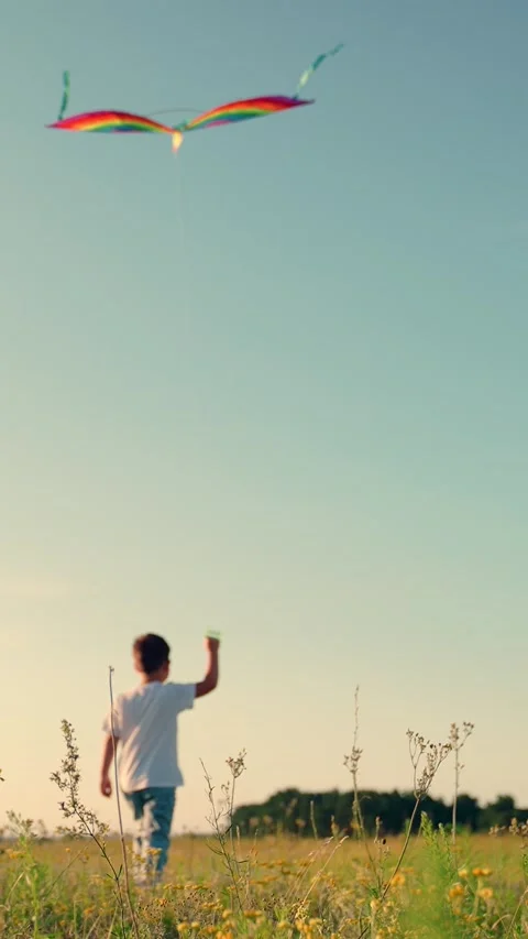 Kite flies in hands of child in spring park in blue sky. Child boy go through Stock Footage 301095984