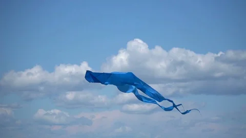 A kite flies in the sky close up. Stock Footage 76589232