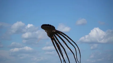 A kite flies in the sky close up. Stock Footage 76752045