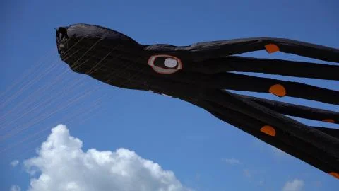 A kite flies in the sky close up. Stock Photos