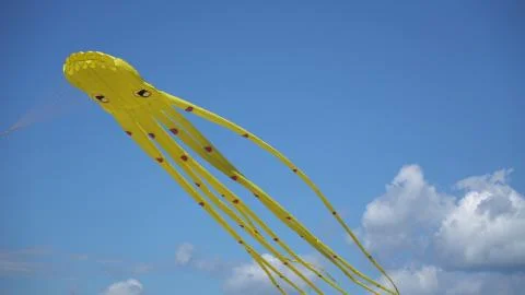 A kite flies in the sky close up. Stock Photos