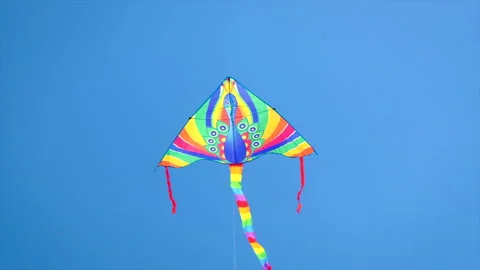 The kite flies in the sky. Selective focus. Stock Footage 197058154