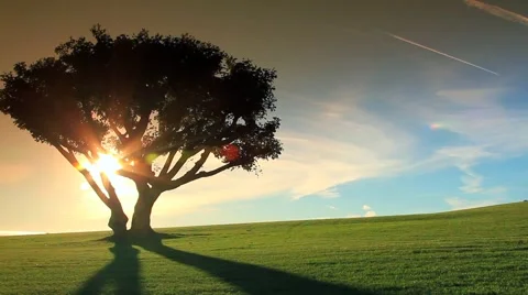 THE KITE FLYER 2 Vidéo 988511