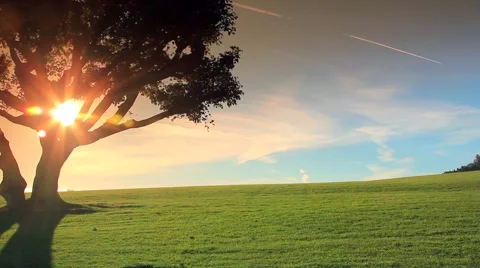 THE KITE FLYER 3 Stock Footage 988488