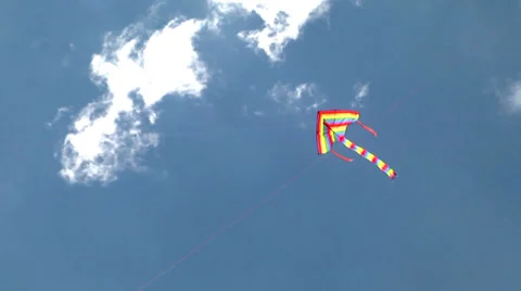 The Kite Flyer Stock Footage 37308527
